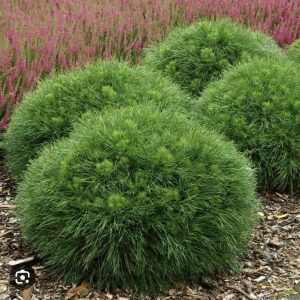 izobrazhenie viber 2023 09 14 22 19 47 165