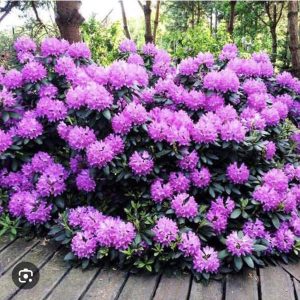 izobrazhenie viber 2026 05 11 19 00 12 051